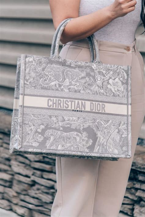 dior diarama bag dupe|dior book bag dupe.